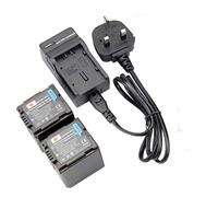 DSTE 2pcs VW-VBG260 Rechargeable Li-ion Battery + Charger DC61U Compatible with Panasonic VBG260,VBG070, AG-AF100, AG-HMC40, AG-HMC80, AG-HMC150, HDC-TM300, HDC-TM700, SDR-H80 Digatal Camera