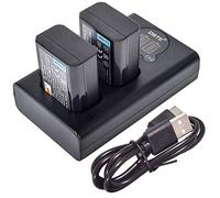 DSTE 2x NP-FW50 Replacement Battery + Dual USB Charger with LCD Display Compatible with Alpha 7,a7,Alpha 7R,a7R,Alpha 7R II,Alpha a3000,a6000,NEX-7,SLT-A55V,DSC-RX10 Digital Camera