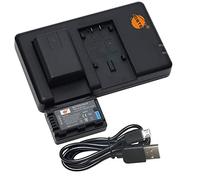 DSTE 3.7V 1250mAh VBY100 QIAOJINLIN Lithium Battery Pack(2 Packs) and Dual Charger Compatible with Panasonic HC-V110 HC-V110K HC-V110G HC-V110GK-K Camera