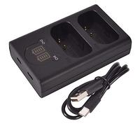 DSTE Dual USB Charger with LCD Display Compatible for DMW-BLJ31 DMW-BLJ31e and Panasonic LUMIX S1, LUMIX S1R, LUMIX S1H, DMW-BGS1R
