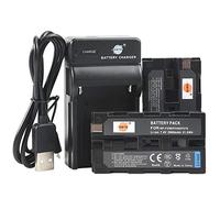 DSTE Li-ion Battery (2-Pack) and Micro USB Charger Suit for Sony NP-F550, CCD-RV100, CCD-RV200, CCD-SC5, CCD-SC55, CCD-SC6, CCD-SC65, CCD-SC7, CCD-SC9