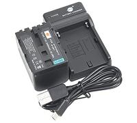 DSTE NP-FM70 Li-ion Battery and Micro USB Charger Compatible with Sony NP-QM71 NP-QM71D DCR-PC115 DCR-PC120 DCR-PC330 DCR-TRV25 DCR-TRV27 DCR-TRV30 DCR-TRV33