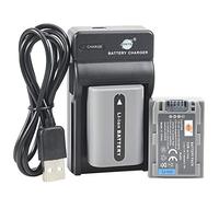 DSTE NP-FP50 Li-ion Battery (2-Pack) + Micro USB Charger Compatible for Sony DCR-DVD103,DCR-DVD105,DCR-DVD203,DCR-DVD205,DCR-DVD305,DCR-DVD92,DCR-HC20