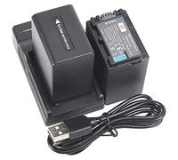DSTE NP-FV100 Camera Battery (2-pack) and Charger Compatible with Sony DCR-SR15 DCR-SR21 DCR-SR68 DCR-SR88 DCR-SX65 DCR-SX83 DCR-SX85 HDR-CX105