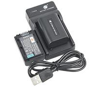 DSTE NP-FV50 Camera Battery (2-pack) and Charger Compatible with Sony HDR-CX380,HDR-CX430V,HDR-CX900,HDR-CX260V,HDR-CX580V,HDR-CX760V,HDR-PJ200