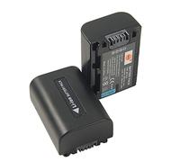 DSTE NP-FV50 Rechargeable Li-ion Battery (2-pack) Compatible with Sony HDR-CX380, HDR-CX430V, HDR-CX900, HDR-CX260V, HDR-CX580V, HDR-CX760V, HDR-PJ200
