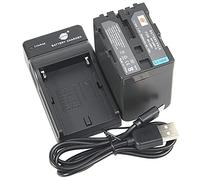 DSTE NP-QM91D NP-QM91 Battery and Charger Compatible with Sony CCD-TRV308, CCD-TRV328, CCD-TRV338, DCR-DVD100, DCR-DVD101, DCR-DVD300, DCR-DVD301