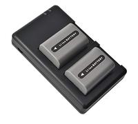 DSTE Replacement Battery Set NP-FP50 Battery + Dual Charger USB Compatible with Sony DCR-SR50 DCR-SR60 DCR-SR70 DCR-SR80 DCR-SR90 DCR-SR100 HDR-HC3