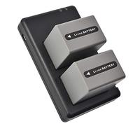 DSTE Replacement Battery Set NP-FP90 Battery + Dual Charger USB Compatible with Sony DCR-HC46 DCR-HC65 DCR-HC85 DCR-HC96 DCR-SR80 DCR-SR100 HDR-HC3 Pack of 2