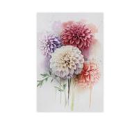 DSTRJ Colorful Pompom Dahlia Flowers Watercolor Art Poster 1 Canvas Poster Bedroom Decor Landscape Office Room Decor Gift 20x30inch(50x75cm)