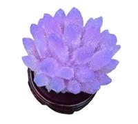 DSZUJTYROP Crystal Rose Quartz Cluster, Rock, Ornament Feng Shui Home Decoration, Gift,About 200g