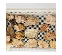 DSZUJTYROP Rough Quartz Cluster Crystal Stone Beautiful (Color : 1pc 510g-700g)