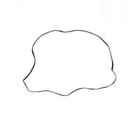 DT Spare Parts 12.81900 Windscreen seal