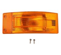 DT Spare Parts 2.24139 Side indicator