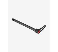 DT Swiss Front Thru Axle RWS Plug In 12 x 100 mm