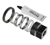 Dt Swiss Deg60t Hybrid W/tool Ratchet Kit Silver One Size Silver
