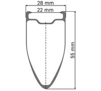 Dt Swiss Arc 1100 Dicut 55 isc Tubeless + Continental Aero 111 29-622 Road Front Wheel 12 x 100 mm Black