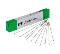 DT SWISS CAJA 100 Radios DT SWISS Champion M 2x276mm PLATA