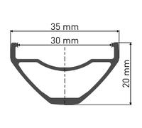 Dt Swiss E 1900 Spline 30 29´´ Cl Disc Tubeless Mtb Front Wheel Black 15 x 100 mm 15 x 100 mm Black