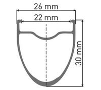 Dt Swiss E 550 700c 30 Db Vi Disc Tubeless Road Bike Rim 700C - 28´´ 24H Black