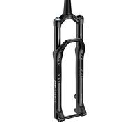 Dt Swiss F 232 One Lever Mtb Fork Silver 29´´ / 110 mm