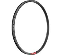 Dt Swiss Fr 541 29´´ Disc Tubeless Rim Silver 29´´- 28H