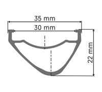 Dt Swiss Hx 1700 Spline 27.5´´ 21 isc Tubeless Mtb Front Wheel Silver 15 x 110 mm 15 x 110 mm Black