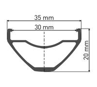 DT Swiss MTB M 1900 Spline 30 mm Disc Center Lock Eje pasante 15x110 mm BOOST Front Wheel Black - 29