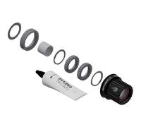 Dt Swiss Ratchet Ln Mtb Shimano Micro Spline Service Kit One Size Black / Grey