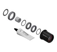DT Swiss Ratchet LN Conversion Kit for 3-pawl Hubs - MTB - 18-tooth -