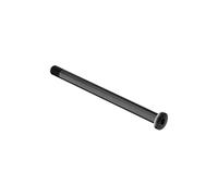 DT Swiss RWS Plug In Front Road Thru Axle Without Lever Black - 12 X 100 MM
