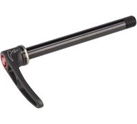 DT Swiss Front Thru Axle RWS Plug In 12 x 100 mm
