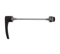 Dt Swiss Rws 10 Steel Through Axle 5 x 100 mm Black