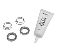 Dt Swiss Star Ratchet Service Kit Silver