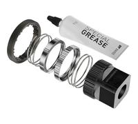 DT Swiss SPRE DT Ratchet DEG DF 90T Kit with tool