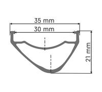 Dt Swiss Xm 1700 Spline 29´´ 20 isc Tubeless Mtb Front Wheel Silver 15 x 110 mm 15 x 110 mm Black
