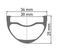 Dt Swiss Xmc 1501 Spline 30 29´´ Is Disc Tubeless Mtb Rear Wheel