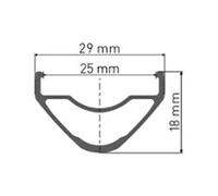 Dt Swiss Xr 391 Disc Rim Black 29´´ 28H 29´´ 28H Black