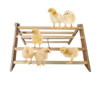 Dtaigou Chick Stand Training Perch - Wood Chicken Stand Supplies Toy,Wood Chicken Roosting Bar Training Supplies for Baby Chicks, Parrot, Macaw