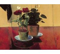 DTAUPREB Paint by Numbers for Adults Kids Still Life with Flowers DIY Oil Painting Digital Kits on Canvas Decoration