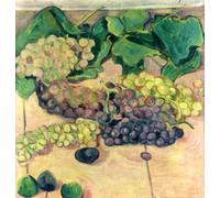 DTAUPREB Paint by Numbers Kits for Beginner Still Life with Grapes DIY Canvas Oil Painting with Brushes Acrylic Pigment