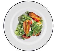 DTD QUALITY MATTERS Enamel Cookware, White with Blue Rim, Oven Safe Round Pie Dish, Pasta, Dinner Plate, Pudding Basin, Oblong Baking Dish Multiple Sizes (White with Blue Rim, 24cm, Dinner Plate)