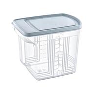 DTD QUALITY MATTERS Matrix Handle Food Container 2.5L Cereal Box with Lid & Handle Airtight Plastic Storage Box BPA-Free Stackable Kitchen Pantry Storage (13 x 20.5 x 16.5 cm) (Light Blue, Pack of 4)