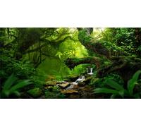 Dtekoj 60X24IN Tropical Forest Green Huge Tree Reptile Habitat Aquarium Background, Green Natural Landscape Rainforest Fish Tank Decorations Background, Nature Art Terrarium Background