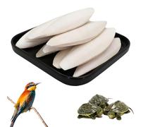 DtgEcd 12 Pieces Cuttlefish Bone for Birds and Tortoises, Natural Cuttlebone for Pets in 4 Sizes (6-8cm, 8-9cm, 9-11cm, 11-12cm), Calcium Supplement for Beak and Shell Health