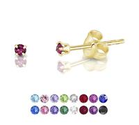 DTPSilver - 925 Sterling Silver Yellow Gold plated Round TINY Stud Earrings made with Glittering Crystals from Swarovski® Elements - Diameter: 2 mm - Colour : Purple Amethyst