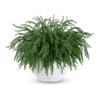 DTYDECLE 59pcs Christmas Pine Branches, Artificial Pine Needles Xmas Green Faux Fake Artificial Pines Sprigs Branches Christmas Faux Leaves Stems for Xmas DIY Craft Greenery Wreath Decorations