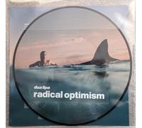 Radical Optimism [VINYL]