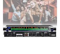 Dual 31-Band Digital Equalizer, 31-Band Stereo Graphic EQ, 10 Preset Effects and Low/mid/treble Independent Adjustment, Output HD Sound Quality, for Recording Studio
