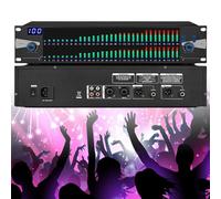 Dual 31 Band Professional Stereo Equalizer with 10 Preset Effects and Low/Mid/Treble Independent Adjustment, Graphic Equalizer for Recording Studio